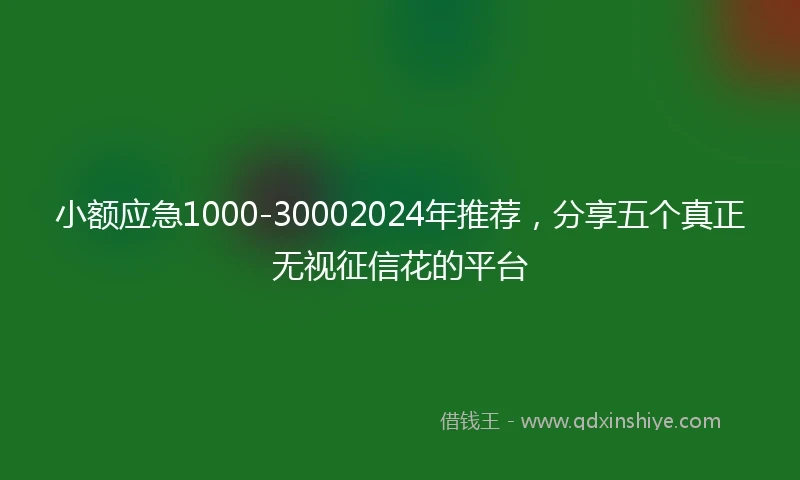 小额应急1000-30002024年推荐，分享五个真正无视征信花的平台