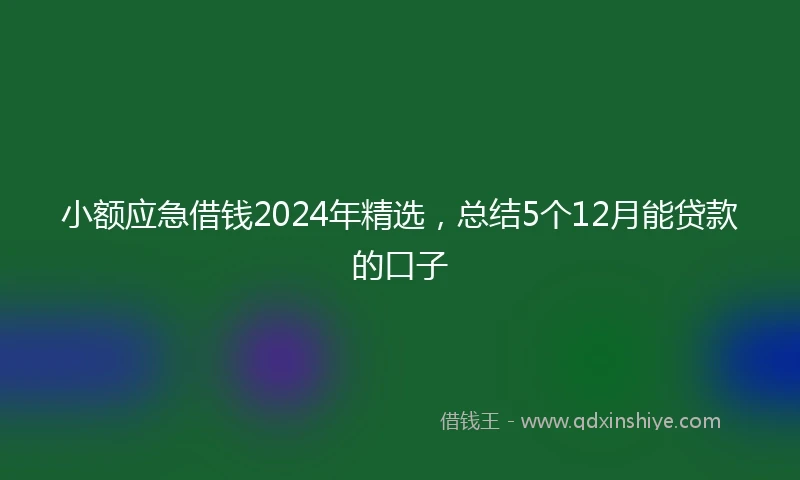 小额应急借钱2024年精选，总结5个12月能贷款的口子