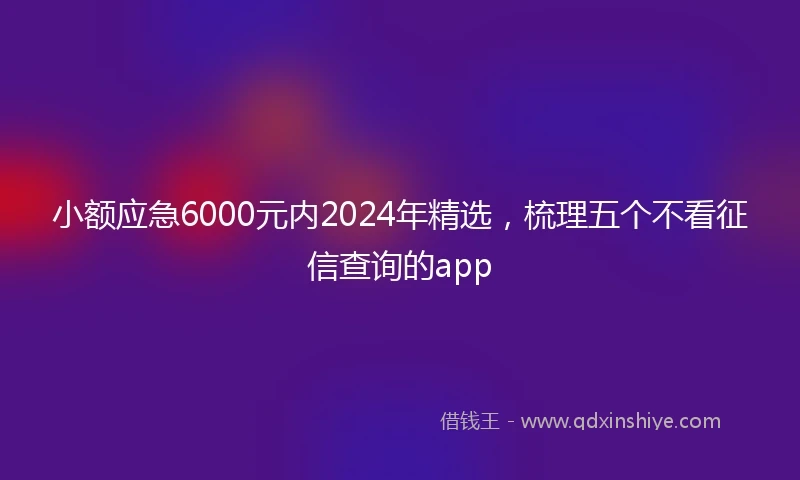 小额应急6000元内2024年精选，梳理五个不看征信查询的app