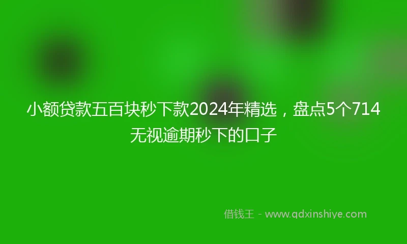 小额贷款五百块秒下款2024年精选，盘点5个714无视逾期秒下的口子