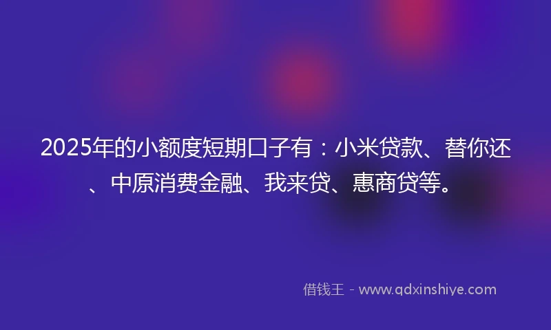 2025年的小额度短期口子有：小米贷款、替你还、中原消费金融、我来贷、惠商贷等。