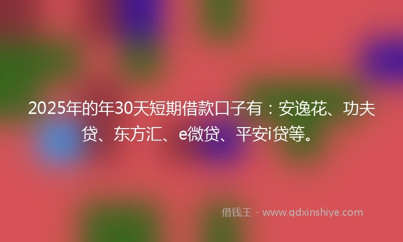 2025年的年30天短期借款口子有：安逸花、功夫贷、东方汇、e微贷、平安i贷等。
