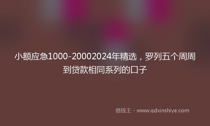 小额应急1000-20002024年精选，罗列五个周周到贷款相同系列的口子