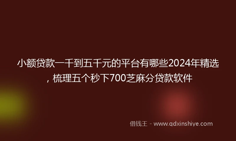 小额贷款一千到五千元的平台有哪些2024年精选，梳理五个秒下700芝麻分贷款软件