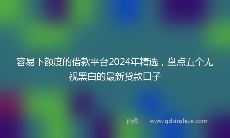容易下额度的借款平台2024年精选，盘点五个无视黑白的最新贷款口子