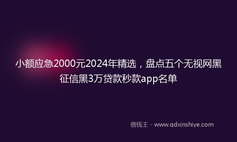 小额应急2000元2024年精选，盘点五个无视网黑征信黑3万贷款秒款app名单