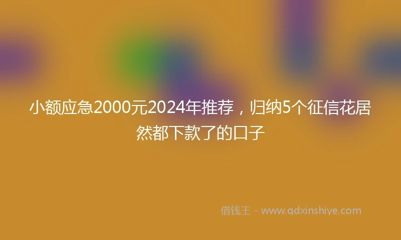 小额应急2000元2024年推荐，归纳5个征信花居然都下款了的口子