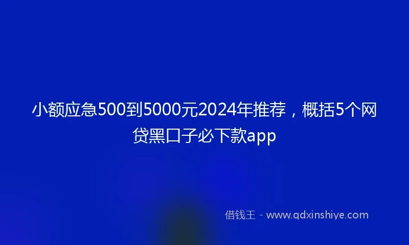 小额应急500到5000元2024年推荐，概括5个网贷黑口子必下款app