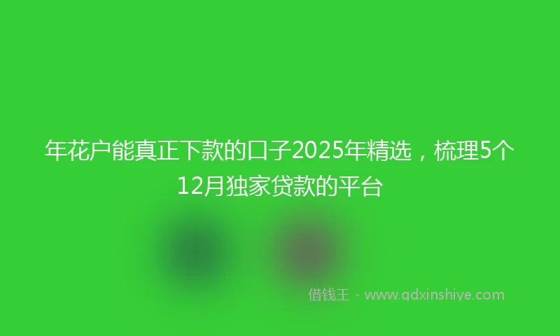 年花户能真正下款的口子2025年精选，梳理5个12月独家贷款的平台