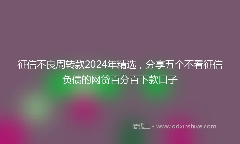 征信不良周转款2024年精选，分享五个不看征信负债的网贷百分百下款口子