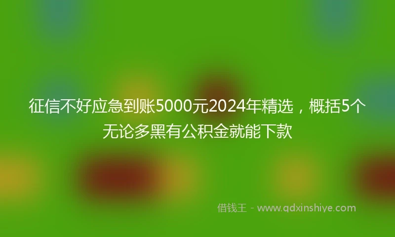 征信不好应急到账5000元2024年精选，概括5个无论多黑有公积金就能下款