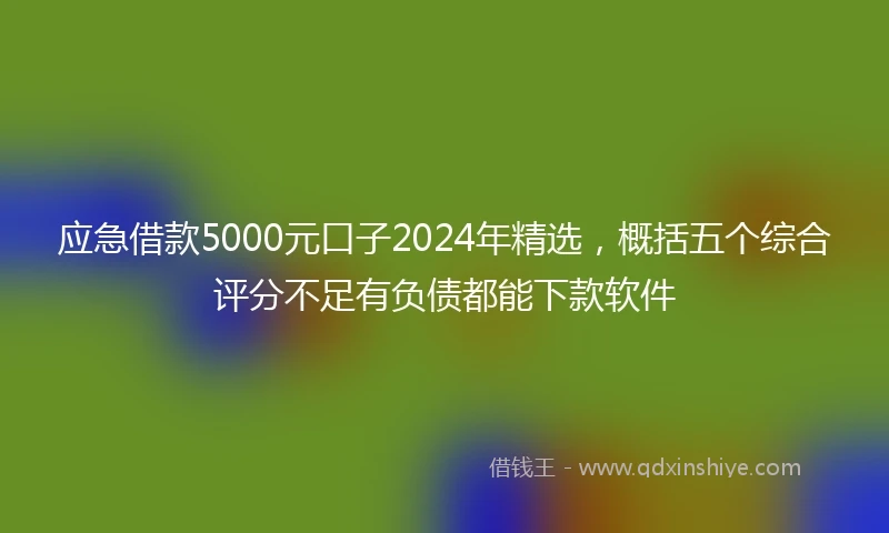 应急借款5000元口子2024年精选，概括五个综合评分不足有负债都能下款软件