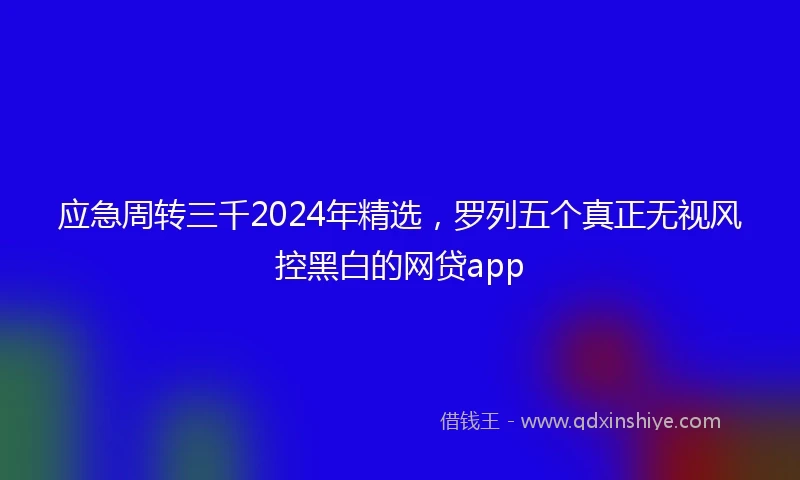 应急周转三千2024年精选，罗列五个真正无视风控黑白的网贷app