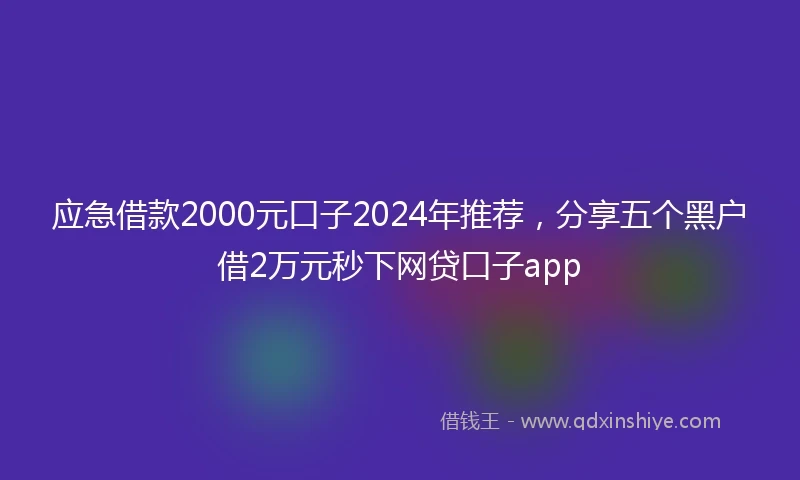 应急借款2000元口子2024年推荐，分享五个黑户借2万元秒下网贷口子app