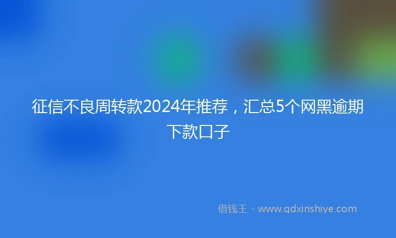 征信不良周转款2024年推荐，汇总5个网黑逾期下款口子