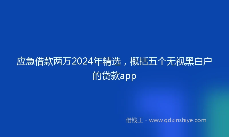 应急借款两万2024年精选，概括五个无视黑白户的贷款app