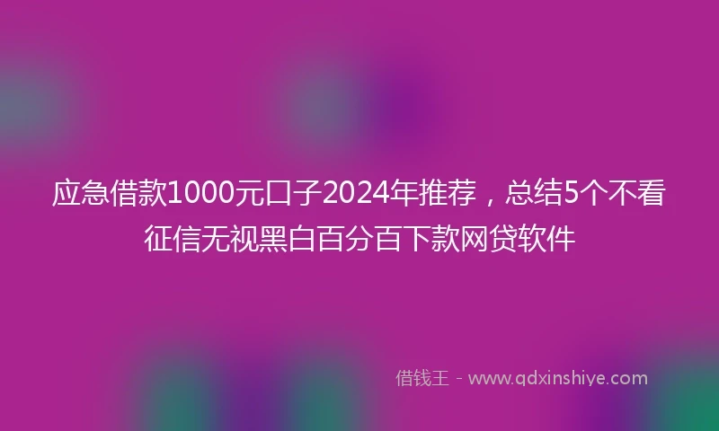 应急借款1000元口子2024年推荐，总结5个不看征信无视黑白百分百下款网贷软件