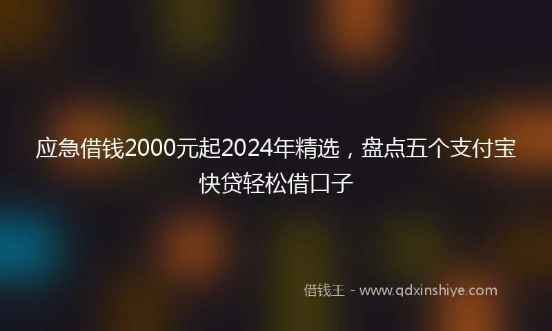 应急借钱2000元起2024年精选，盘点五个支付宝快贷轻松借口子
