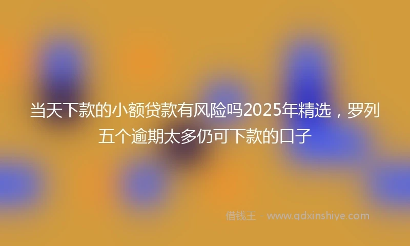 当天下款的小额贷款有风险吗2025年精选，罗列五个逾期太多仍可下款的口子