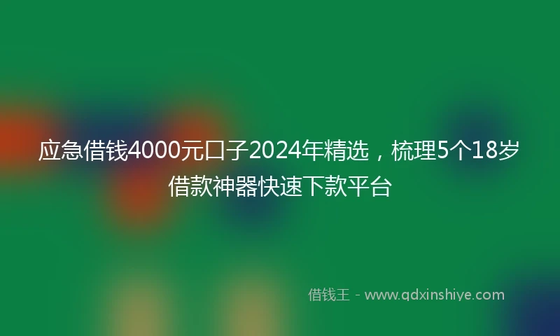 应急借钱4000元口子2024年精选，梳理5个18岁借款神器快速下款平台
