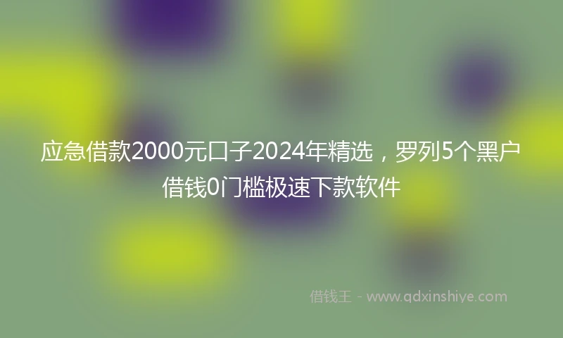 应急借款2000元口子2024年精选，罗列5个黑户借钱0门槛极速下款软件