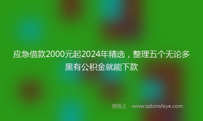 应急借款2000元起2024年精选，整理五个无论多黑有公积金就能下款