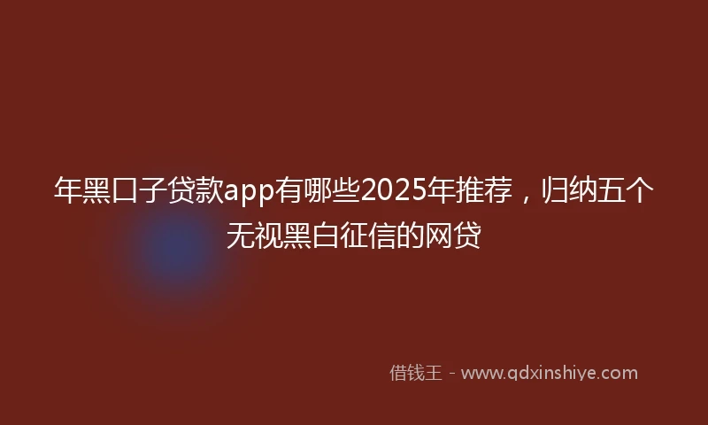 年黑口子贷款app有哪些2025年推荐，归纳五个无视黑白征信的网贷