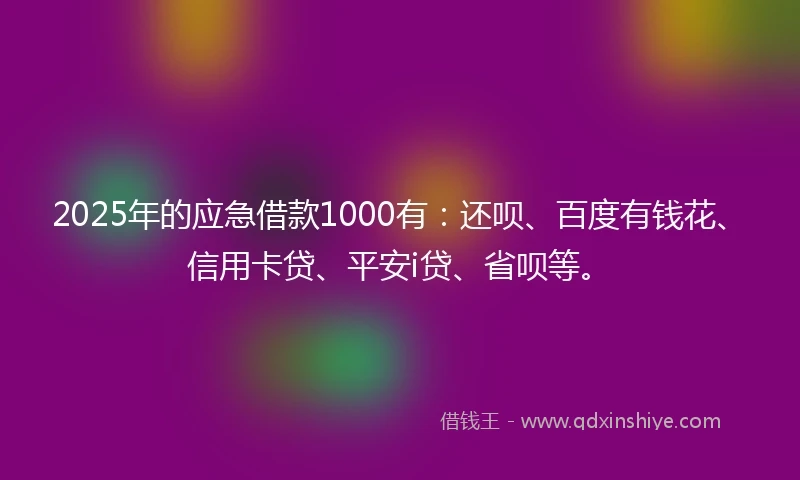 2025年的应急借款1000有：还呗、百度有钱花、信用卡贷、平安i贷、省呗等。