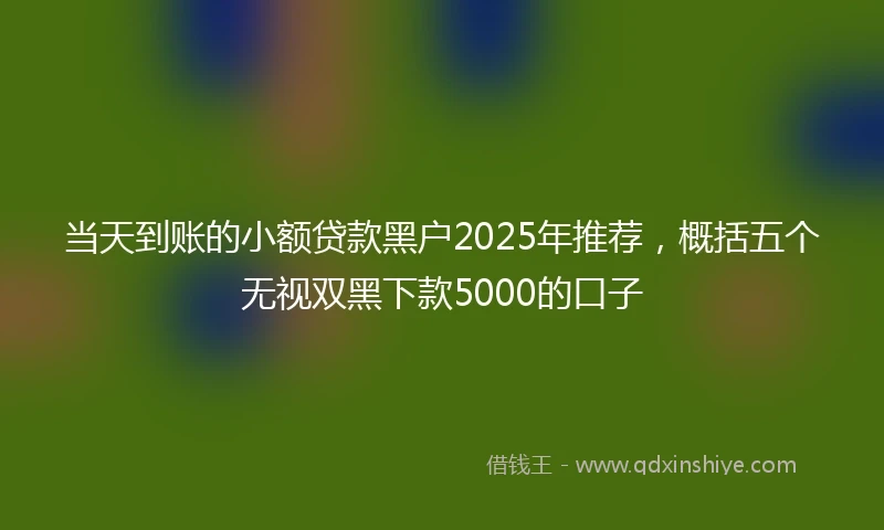 当天到账的小额贷款黑户2025年推荐，概括五个无视双黑下款5000的口子