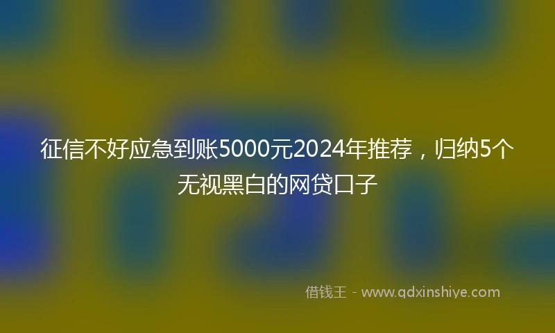 征信不好应急到账5000元2024年推荐，归纳5个无视黑白的网贷口子