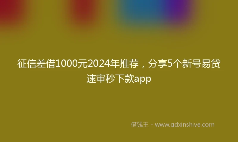 征信差借1000元2024年推荐，分享5个新号易贷速审秒下款app