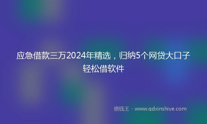 应急借款三万2024年精选，归纳5个网贷大口子轻松借软件