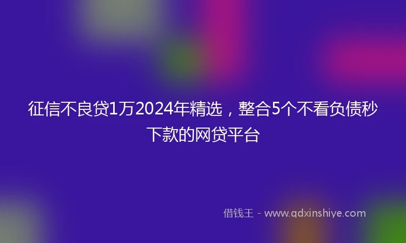 征信不良贷1万2024年精选，整合5个不看负债秒下款的网贷平台
