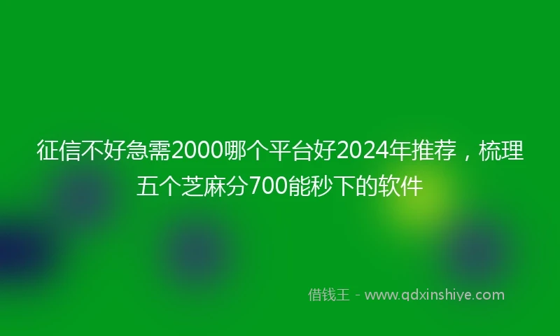 征信不好急需2000哪个平台好2024年推荐，梳理五个芝麻分700能秒下的软件