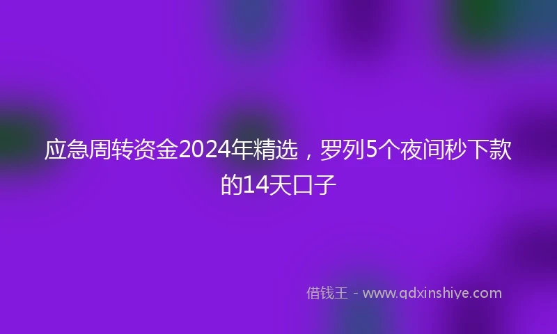 应急周转资金2024年精选，罗列5个夜间秒下款的14天口子