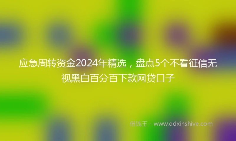应急周转资金2024年精选，盘点5个不看征信无视黑白百分百下款网贷口子