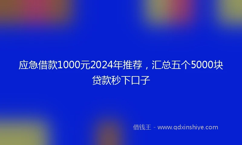 应急借款1000元2024年推荐，汇总五个5000块贷款秒下口子