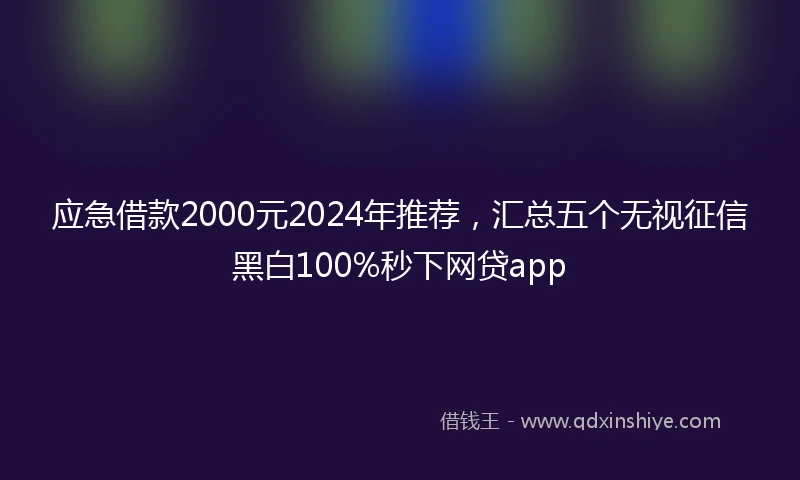 应急借款2000元2024年推荐，汇总五个无视征信黑白100%秒下网贷app