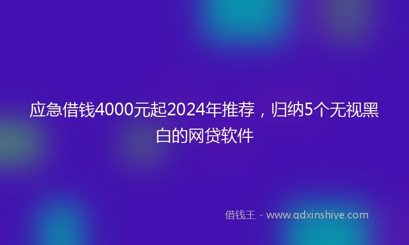 应急借钱4000元起2024年推荐，归纳5个无视黑白的网贷软件