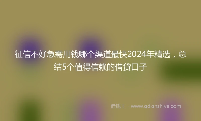 征信不好急需用钱哪个渠道最快2024年精选，总结5个值得信赖的借贷口子