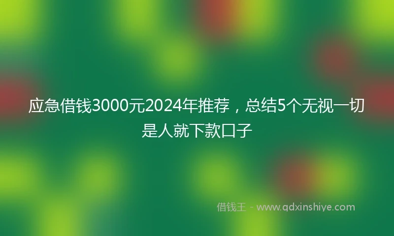 应急借钱3000元2024年推荐，总结5个无视一切是人就下款口子