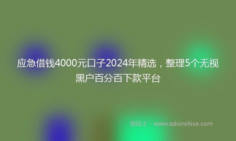 应急借钱4000元口子2024年精选，整理5个无视黑户百分百下款平台
