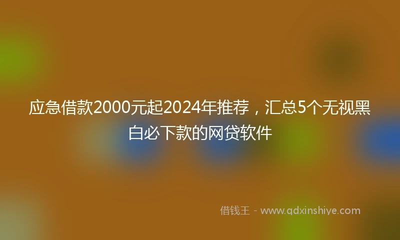 应急借款2000元起2024年推荐，汇总5个无视黑白必下款的网贷软件