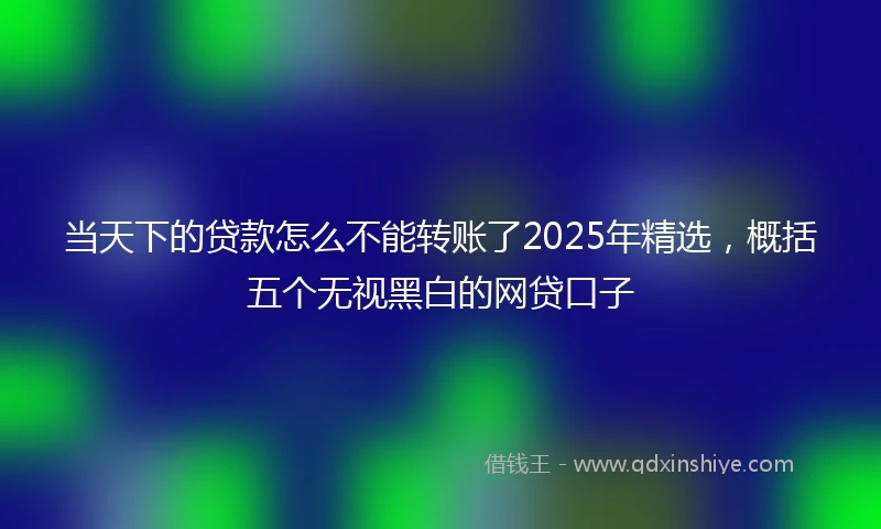 当天下的贷款怎么不能转账了2025年精选，概括五个无视黑白的网贷口子