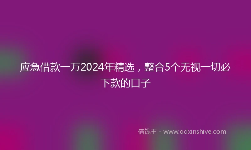应急借款一万2024年精选，整合5个无视一切必下款的口子