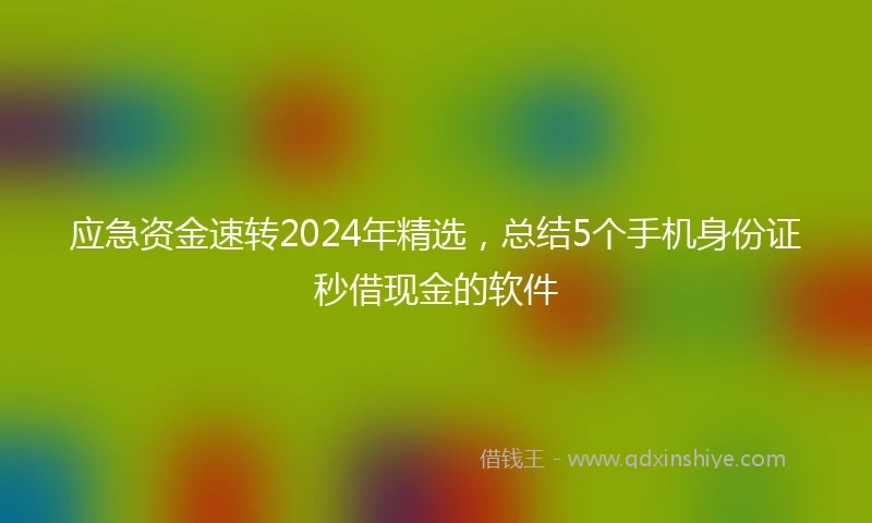 应急资金速转2024年精选，总结5个手机身份证秒借现金的软件