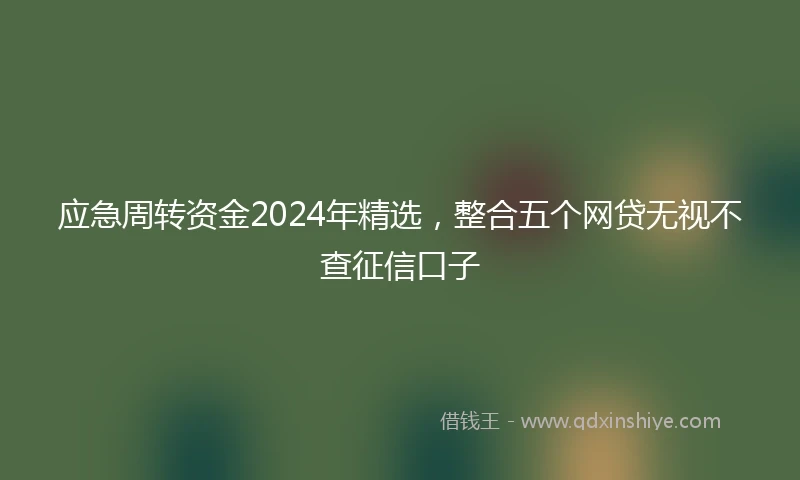 应急周转资金2024年精选，整合五个网贷无视不查征信口子