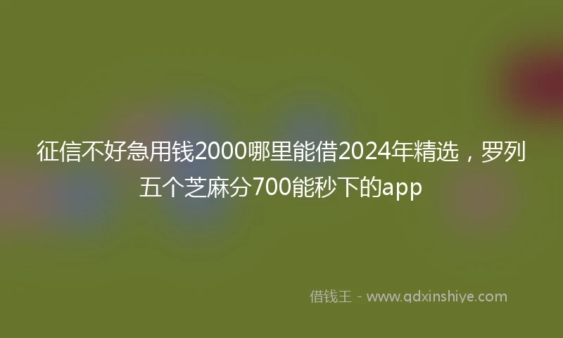 征信不好急用钱2000哪里能借2024年精选，罗列五个芝麻分700能秒下的app
