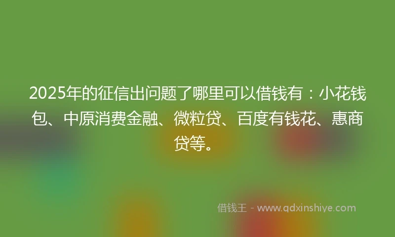 2025年的征信出问题了哪里可以借钱有：小花钱包、中原消费金融、微粒贷、百度有钱花、惠商贷等。