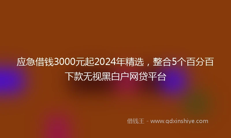 应急借钱3000元起2024年精选，整合5个百分百下款无视黑白户网贷平台